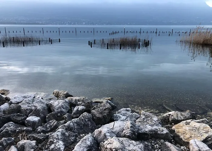 Les Terrasses De Tresserve Aix-les-Bains