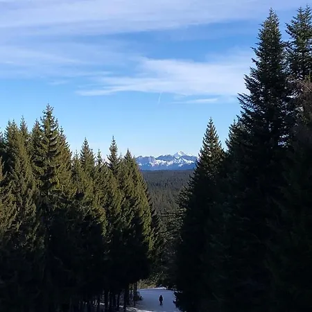 Les Terrasses De Tresserve 公寓 艾克斯莱班