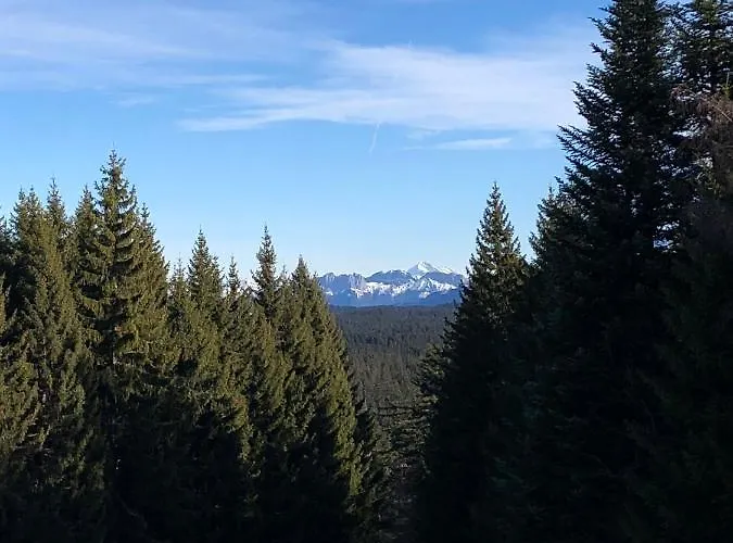 Les Terrasses De Tresserve Appartement Aix-les-Bains